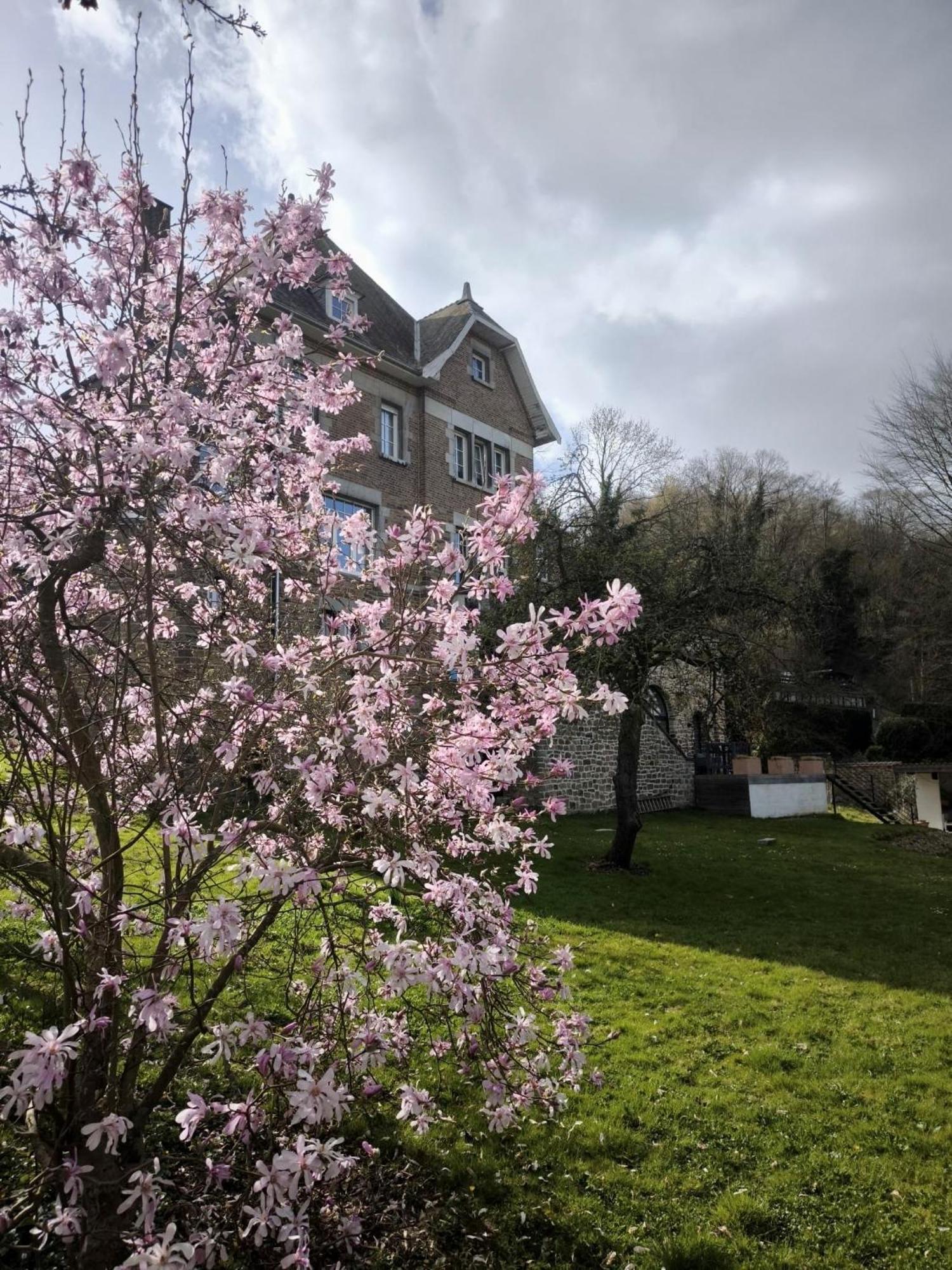 Apartamento Le Castel Mosan Namur Exterior foto